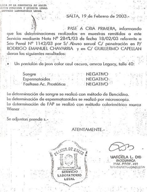 1316624821793-pericia_dib_2.jpg